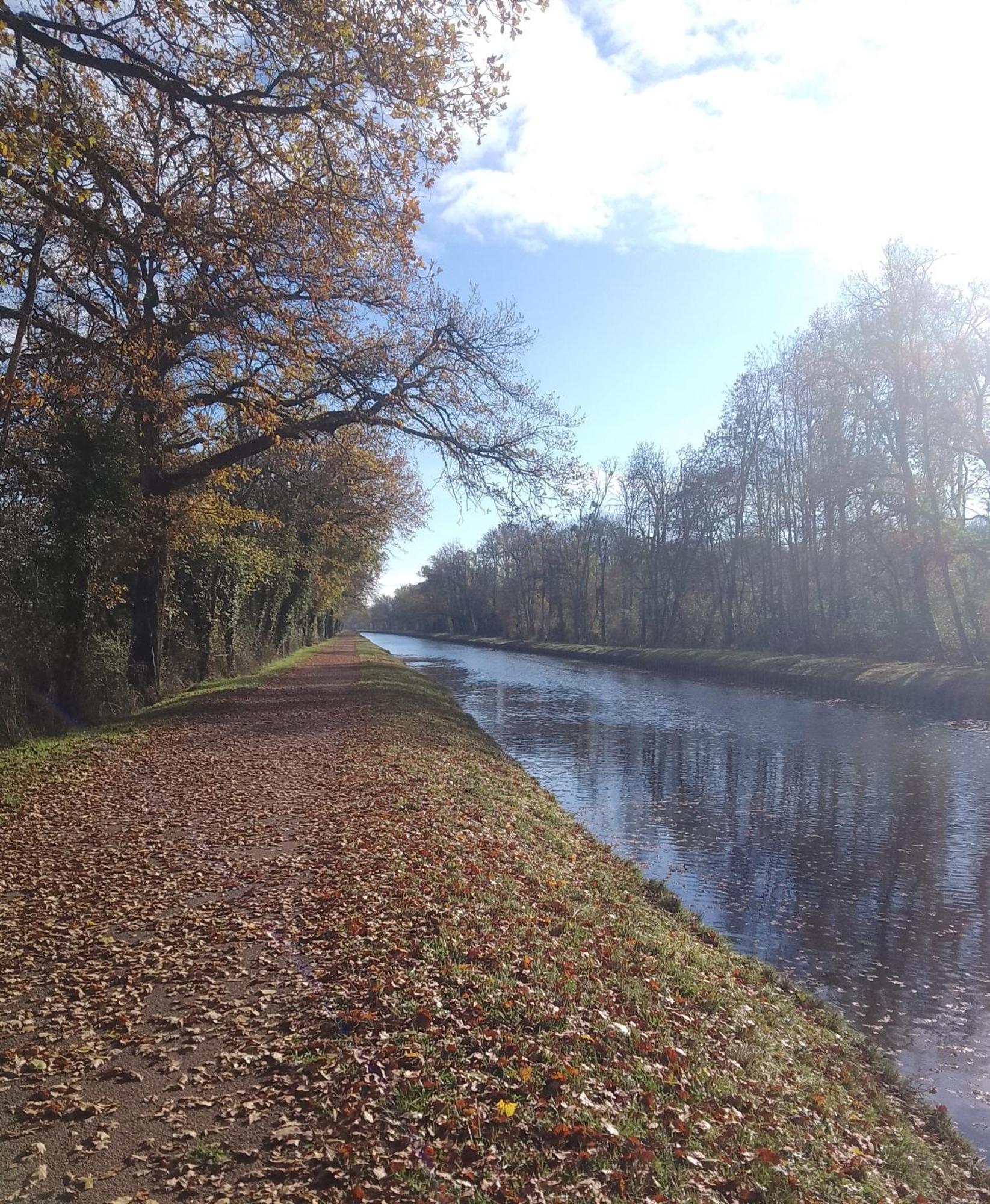 La Halte Du Canal Luthenay-Uxeloup Buitenkant foto